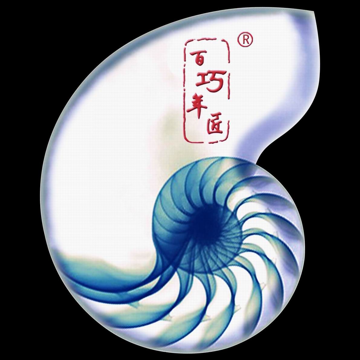 百年巧匠
