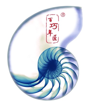 石家庄百年巧匠木制品有限公司
